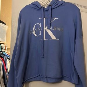 Calvin Klein hoodie sweatshirt baby blue